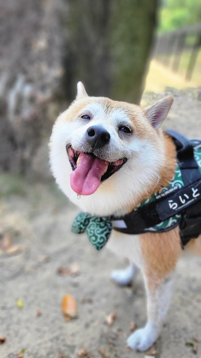 プールの疲れと遊べたことへの喜びを表現した顔