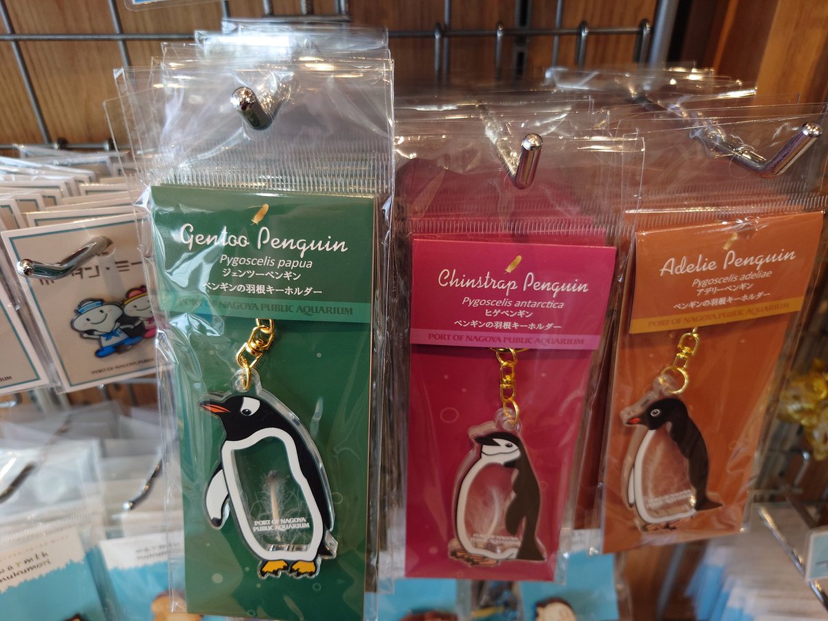 名古屋港水族館の ペンギンの羽根キーホルダー お値段のわかる投稿が