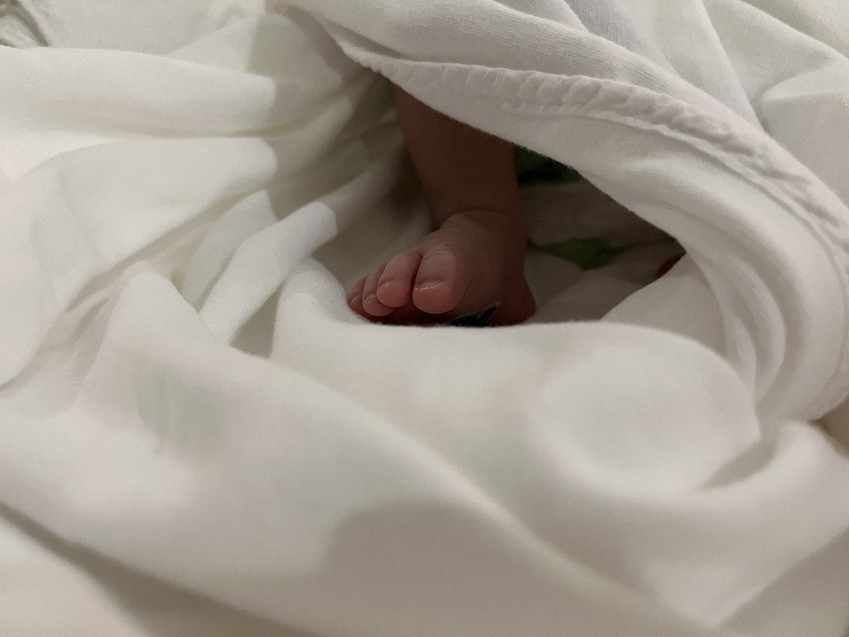 Jiyeon Seo (치즈) 🧀🎗 tweet media