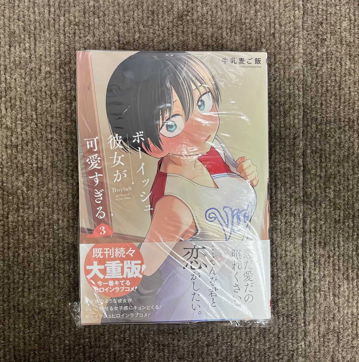 【中古】 みなし児の遍歴 ディケンズとヴィクトリア朝小説/桐原書店/富士川和男 中古】 みなし児の遍歴 ディケンズとヴィクトリア朝小説/桐原