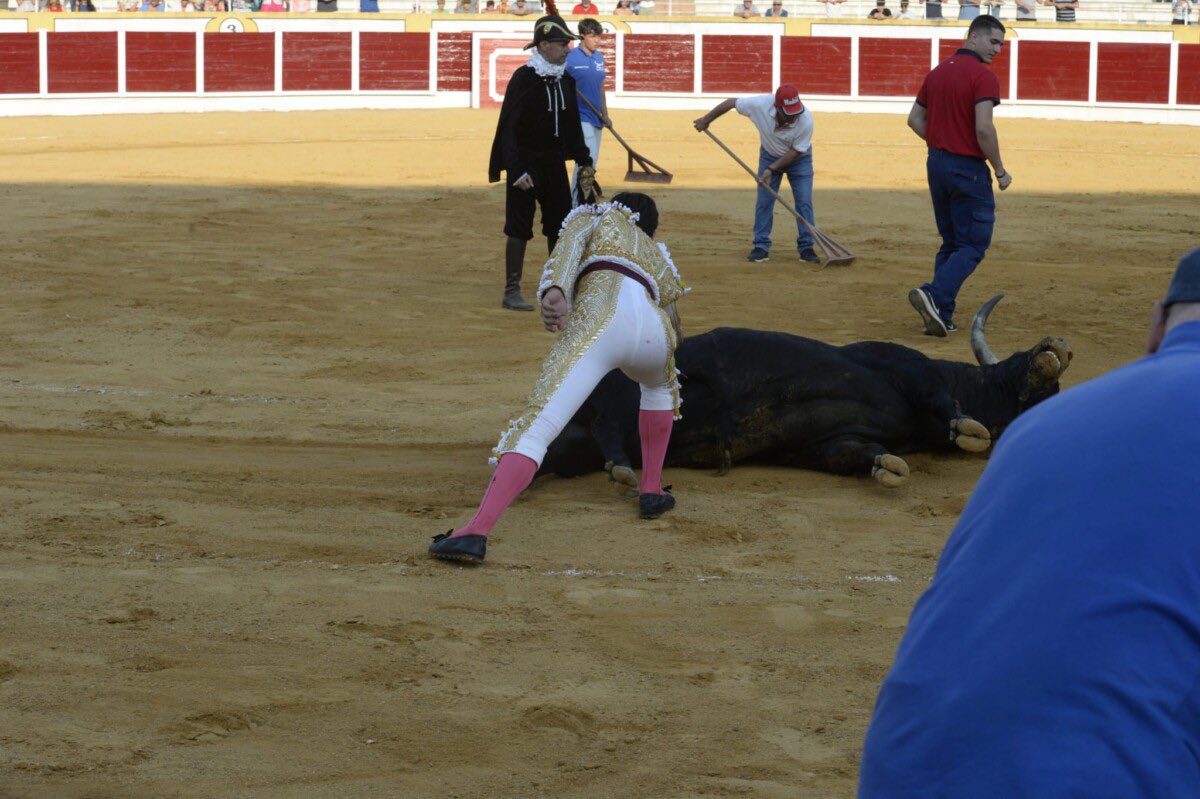 Orador N:20 G1 premiado con la vuelta al ruedo cortándoles los máximos trofeos <a href="/IsmaelMartinM/">Ismael Martín</a> en Peñaranda de Bracamonte