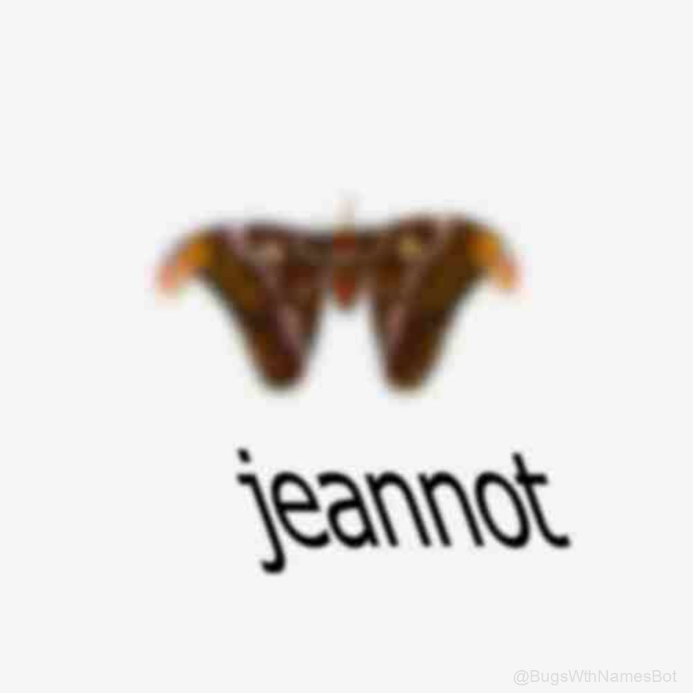 BugsWthNamesBot's tweet image. 🦋 Jeannot