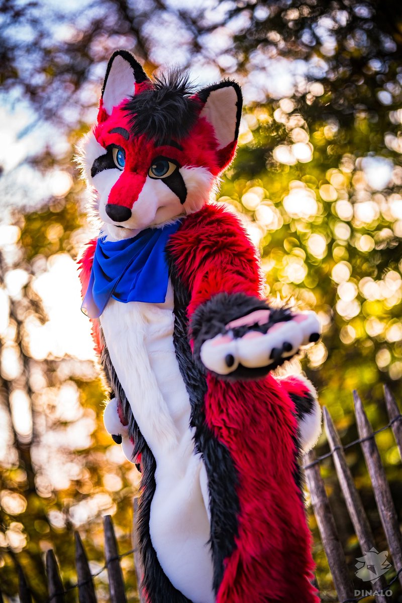 Dinalo Pasha Kurkov❣️🦊 🔜 ? tweet media