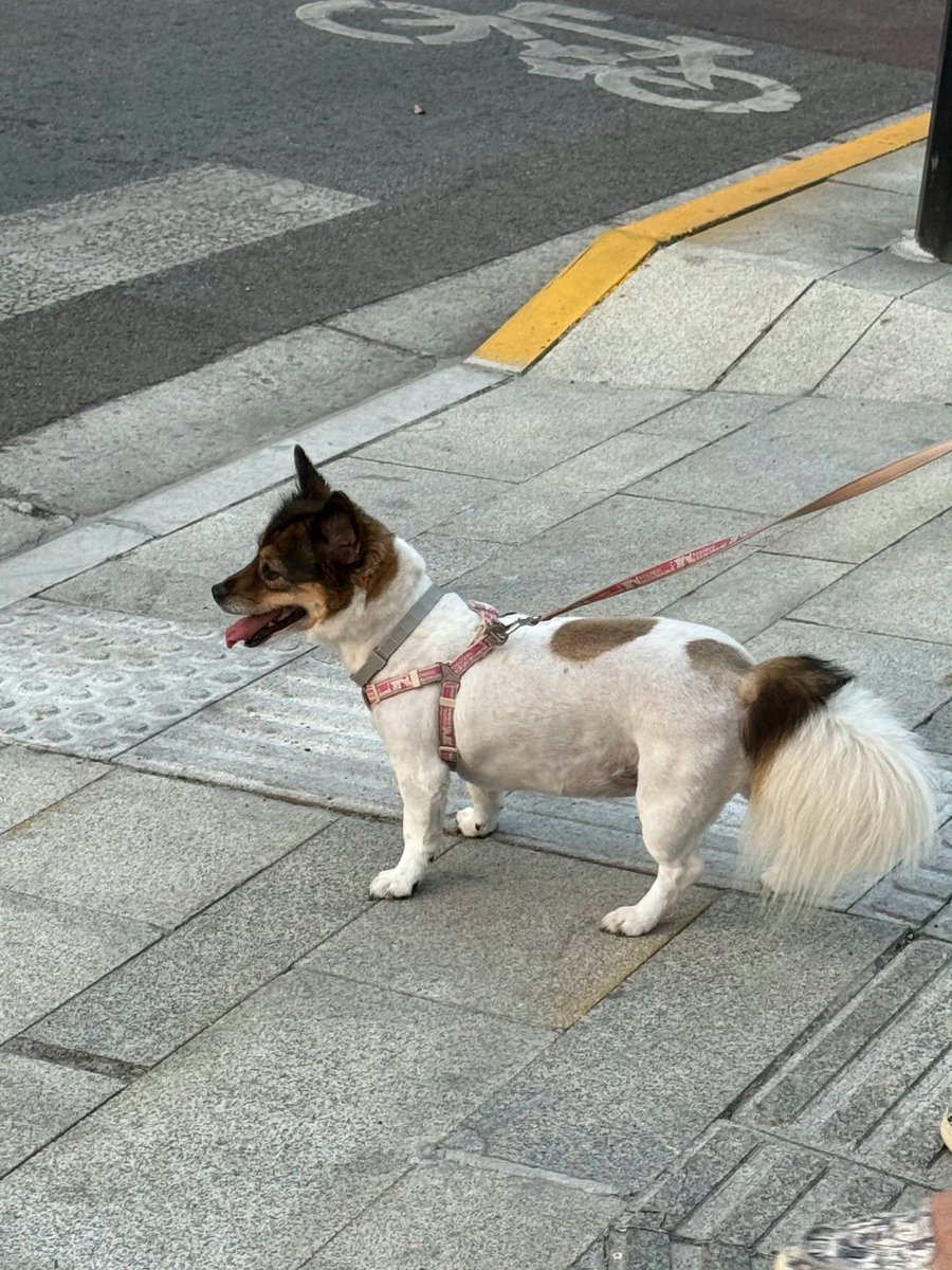 [240825] Tian Xu Ning Weibo update

How was your weekend?

#TianXuning #田栩宁