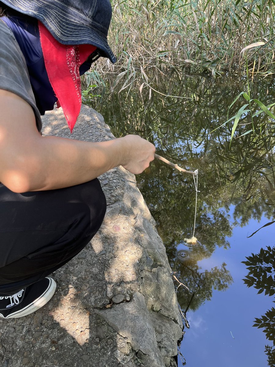 taiami0121's tweet photo. 夏休み最終日つったらさやるよね

ザ　リ　ガ　ニ　釣　り🦞 https://t.co/Cwt5do6iIS