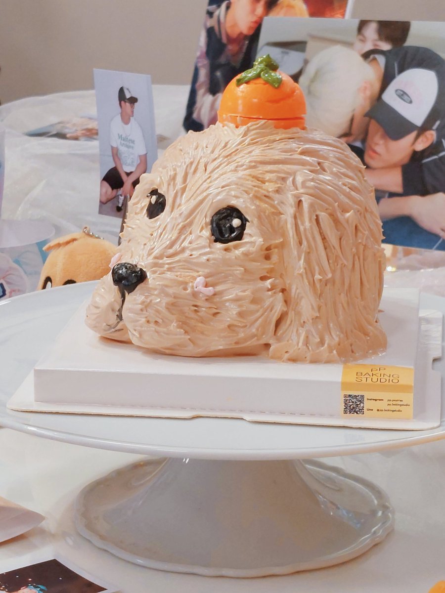 #walkwithgyuboo2025

Gyuboo di wa 🩵🩷