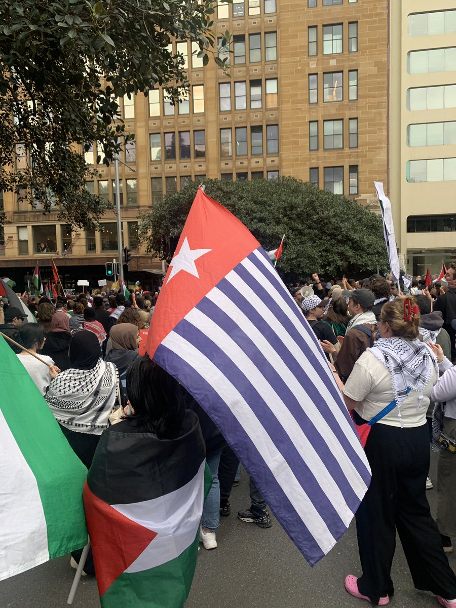 Liberations rise together.

#Palestine
#WestPapua