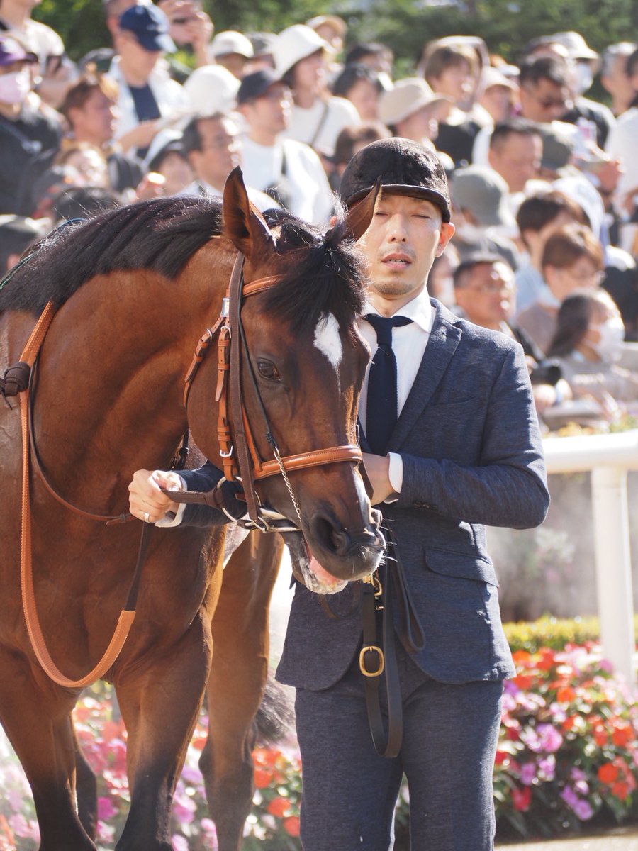 chestnut_Fs's tweet photo. パンジャタワー強かった！
おめでとうー✨

#札幌競馬場
#キーンランドカップ
#パンジャタワー
#松山弘平 騎手 https://t.co/xYInYE0QkL