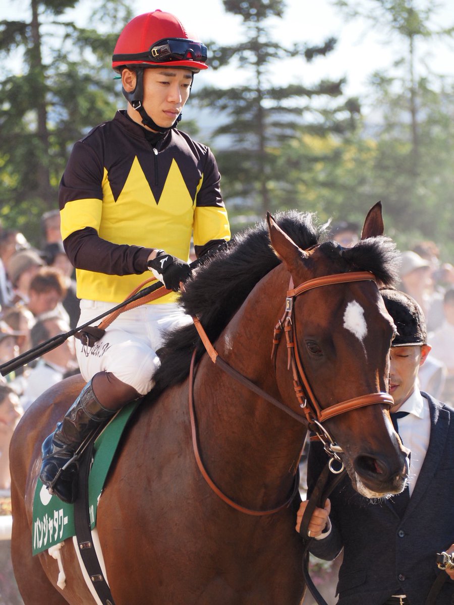 chestnut_Fs's tweet photo. パンジャタワー強かった！
おめでとうー✨

#札幌競馬場
#キーンランドカップ
#パンジャタワー
#松山弘平 騎手 https://t.co/xYInYE0QkL