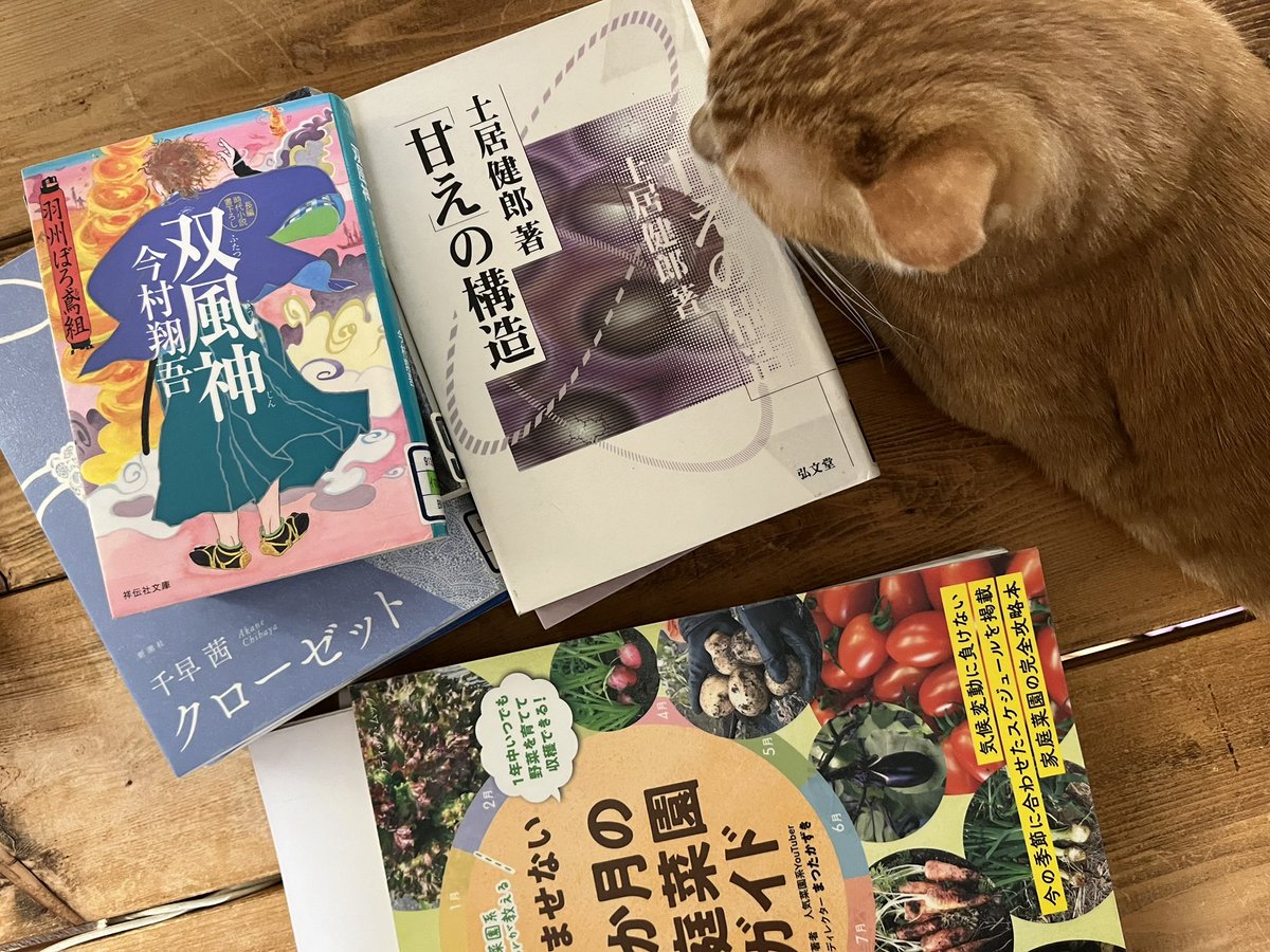 yureeca_read's tweet photo. 夏の燃料追加🐈
#図書館本 https://t.co/B76MXVtCLD