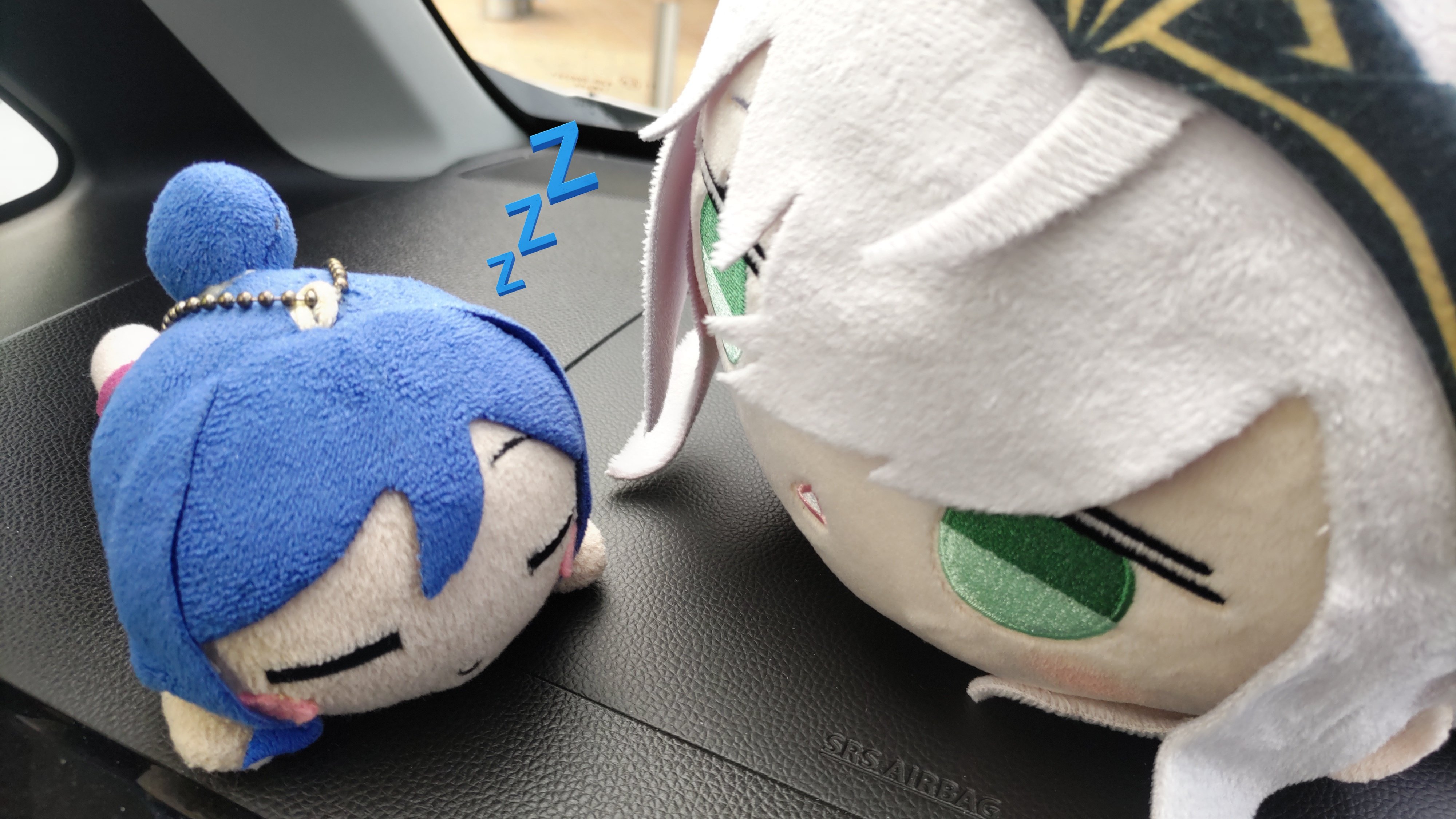 ぬいぐるみ NNN すみっコぐらし もちもちぬいぐるみXL プレミアム たぴおか