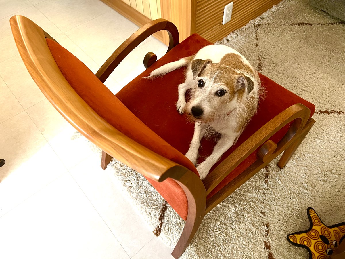 お気に入りのラウンジチェアなのだが、最近は犬専用になっている。
もうこの椅子、訳があって生産してないんだよね。生地はシンコールのラムースに張り替えている。猫が爪を立てない不思議な生地。おすすめです。（最近名前が変わったらしいけど椅子屋さんには通じます）