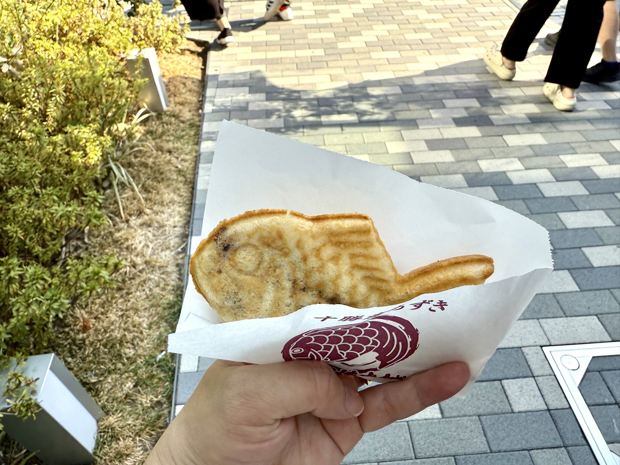 たい焼き様 瀬戸内花嫁たい焼き6個セット – タウン情報ウインク
