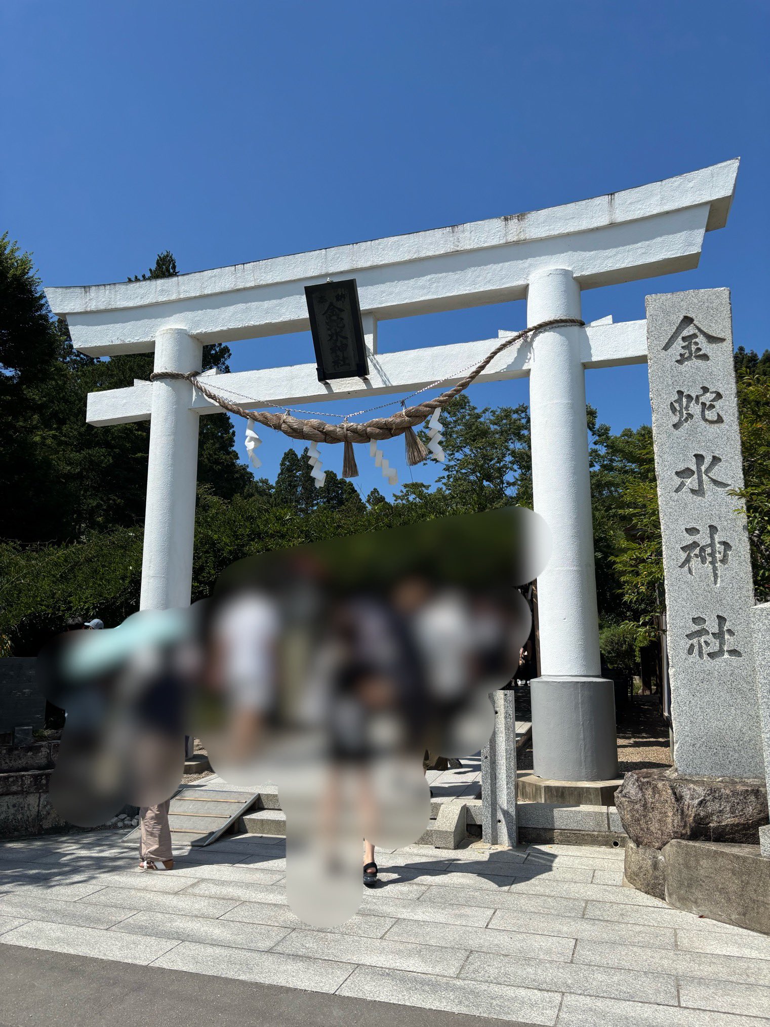 ラスト品金蛇水神社★大巡礼最強白蛇財運オルゴナイト Amazon.co.jp: 最強金運 財を呼ぶ白蛇様 オルゴナイト 仕事運