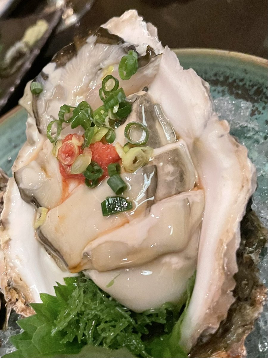 sendagi2w's tweet image. 暑いですね🥵
始まりました暑気払い
牡蠣も魚も美味しい🥂
暑さ忘れました（髙）
#根津 #かき愼