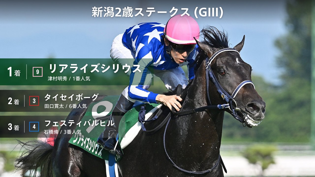 【非売品】ロードクエスト 新潟2歳ステークス 勝利記念ジャージ ウマ娘 L 競馬 的中🎯】新潟2歳S 2025 徹底予想！勝ち馬プロファイルから見える