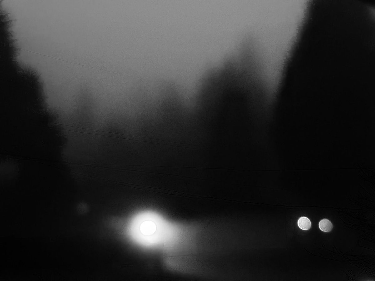 Darkness bends, but light refuses… GN🖤