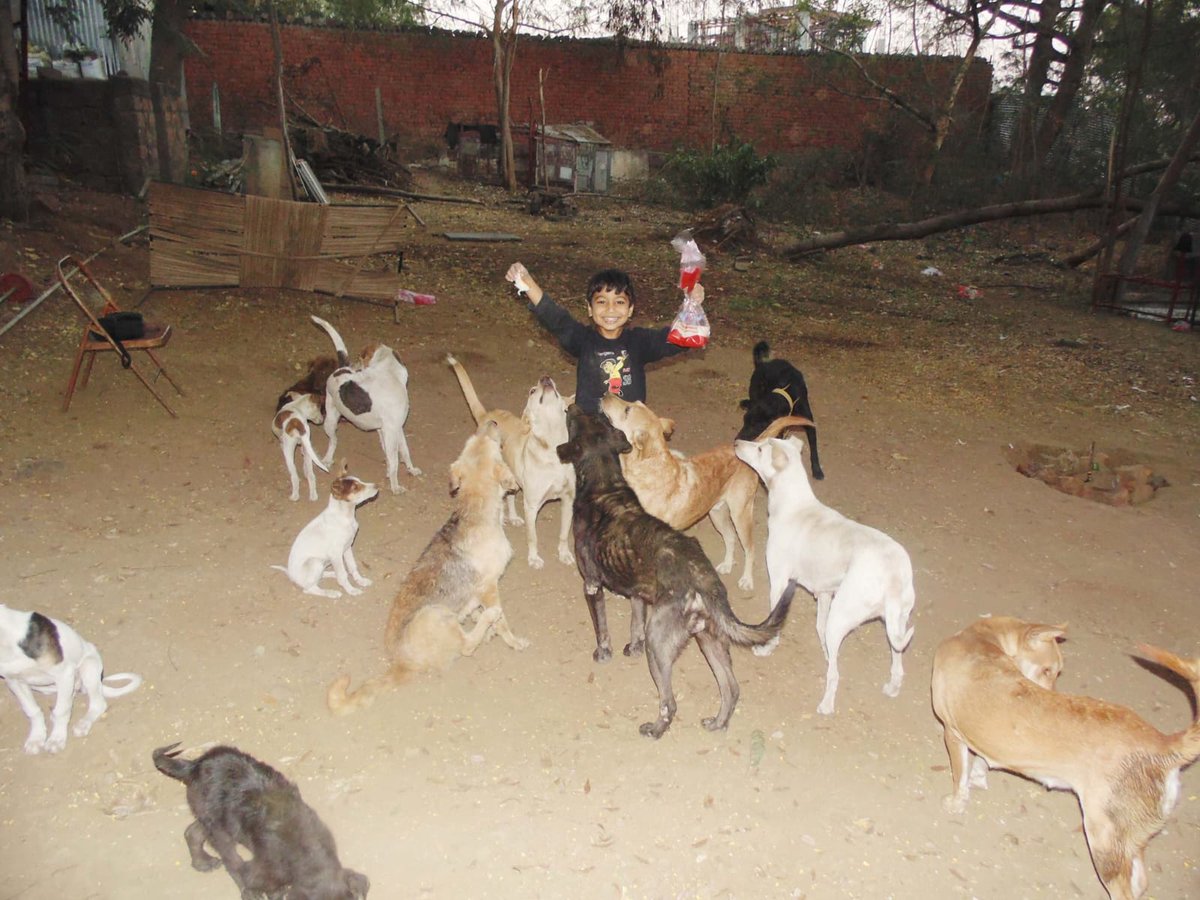 LOVE AND RESPECT TO DOGS 
❤️
Salute है इस बच्चे के माता पिता को... जिन्होंने मासूम बच्चे को बेजुबानों से प्यार भरा व्यवहार करना सिखाया।