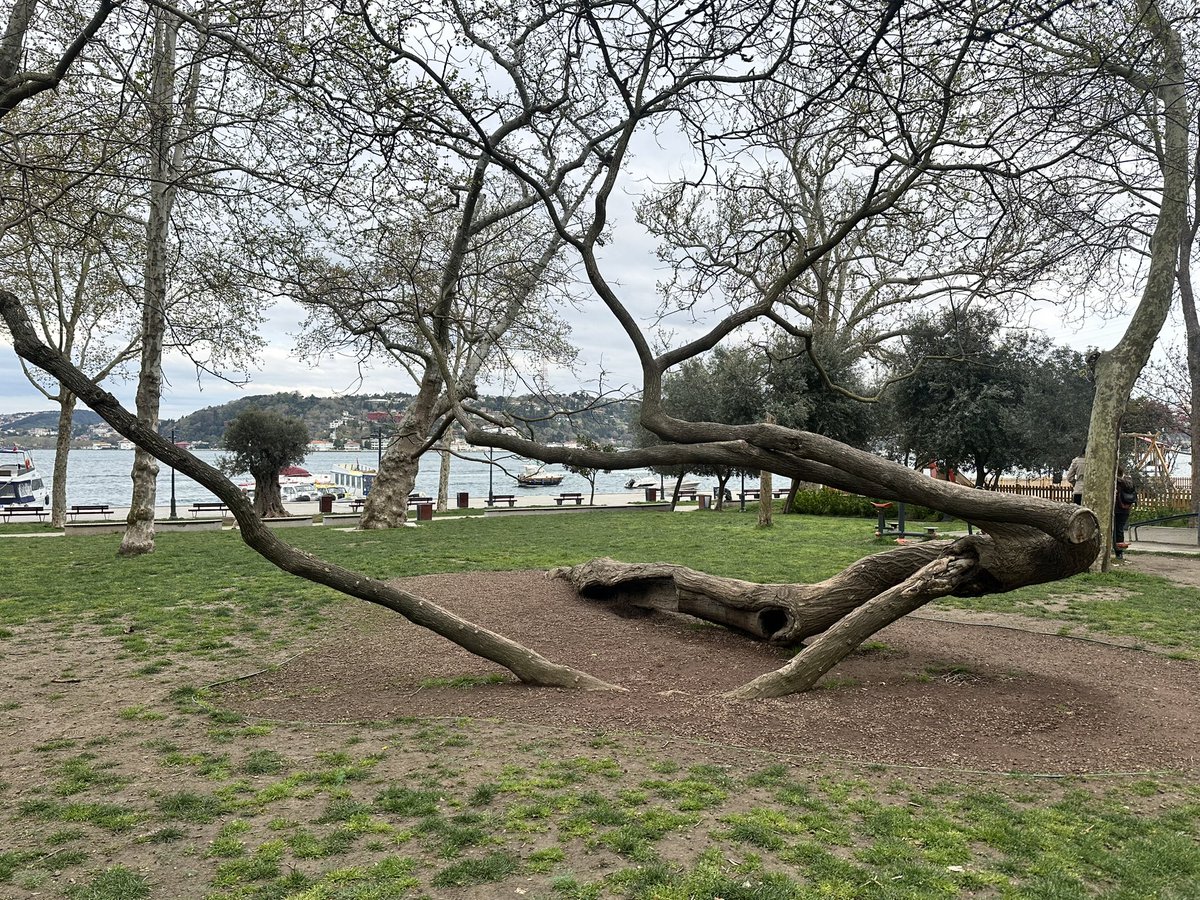 #رسالة 

حين ترى الإنسان طبلاً أجوف لا شغلة له إلا القرع، و بوقاً مزعجاً يبرر الفشل ويجمّل الهزيمة..
فلا تندهش، فالفارغ دائماً يحتاج ضجيج ليُشعر نفسه أنه موجود.
باختصار: هو مجرد صدى.. بلا معنى