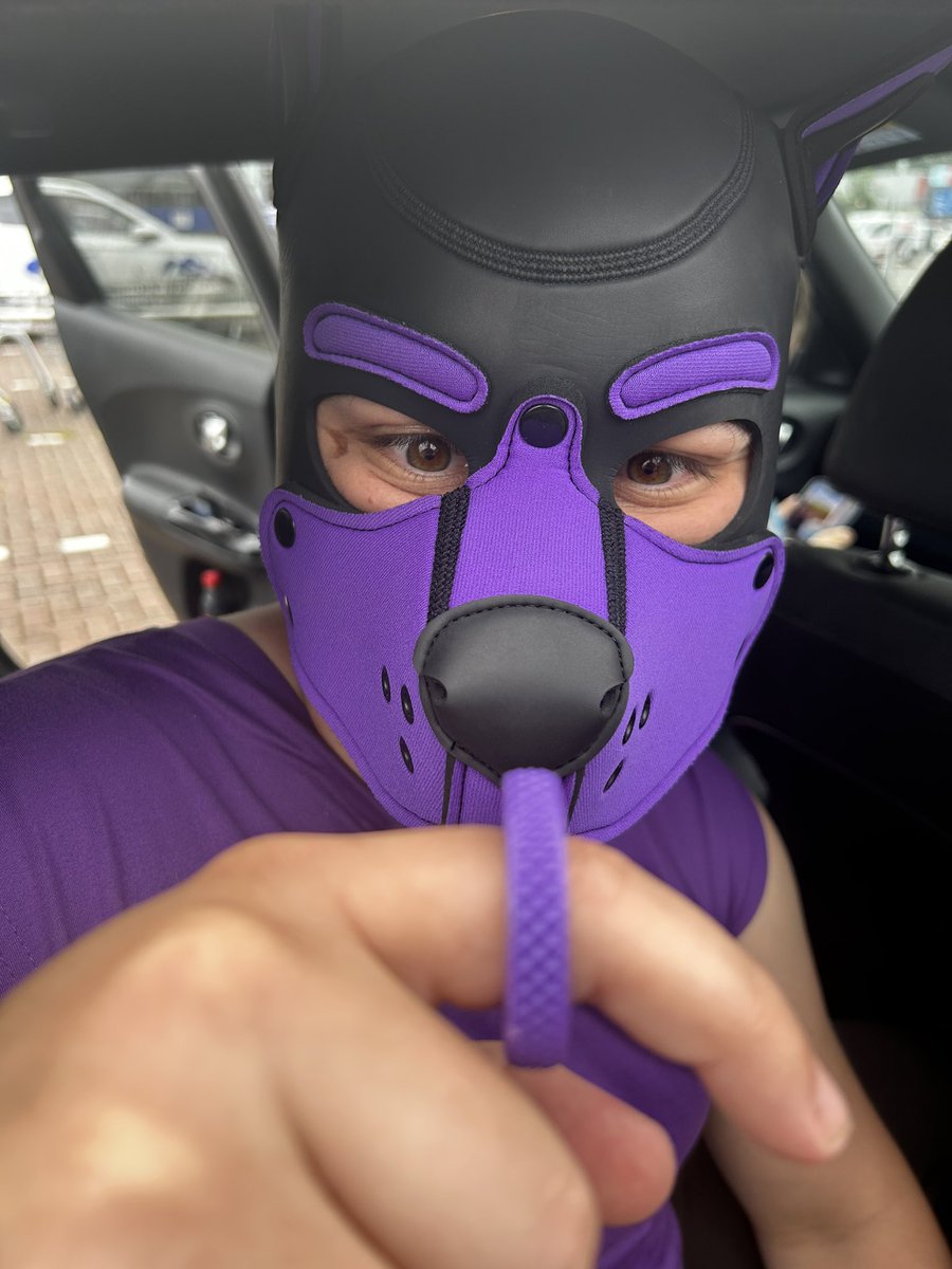 Pup_Extortion's tweet photo. CW/TW 

Massive Celebrations in the #hausofextortion today

@LyallPup celebrates 11yrs free from DSH 
The pack and I are extremely proud pup.. day by day and we will see those numbers creep up and up and up https://t.co/mWAjg9xhSt