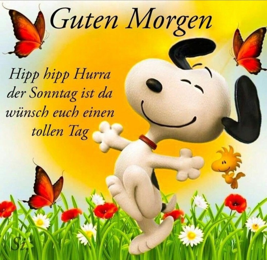 Guten Morgan 💙💙💙💙💙💙💙
