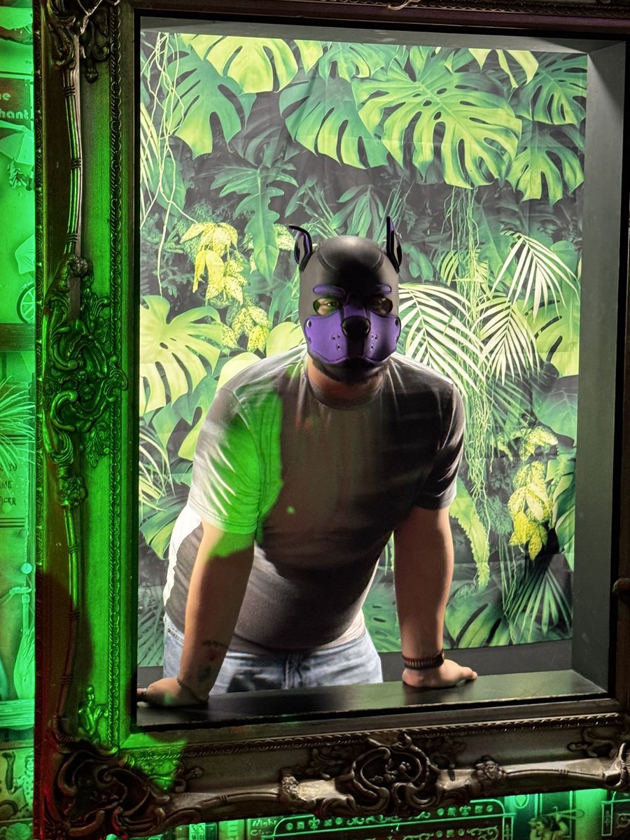 Am so proud of <a href="/LyallPup/">Lyall The Pup</a> , today is big milestone for him. On his DSH anniversary 
Always will be proud and love you x