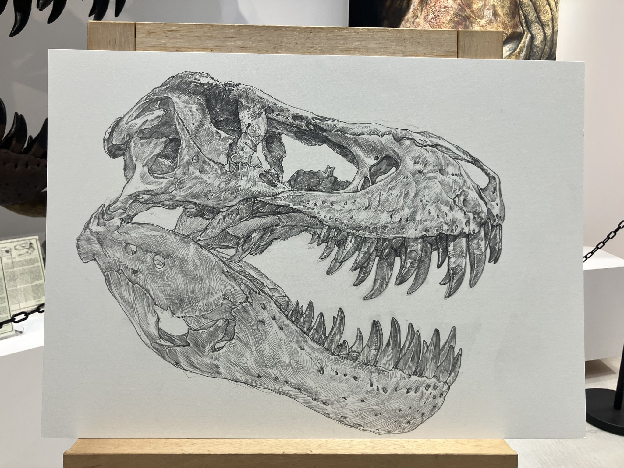 ティラノサウルス　アクリル画　原画 小田 隆 Oda Takashi on X: 