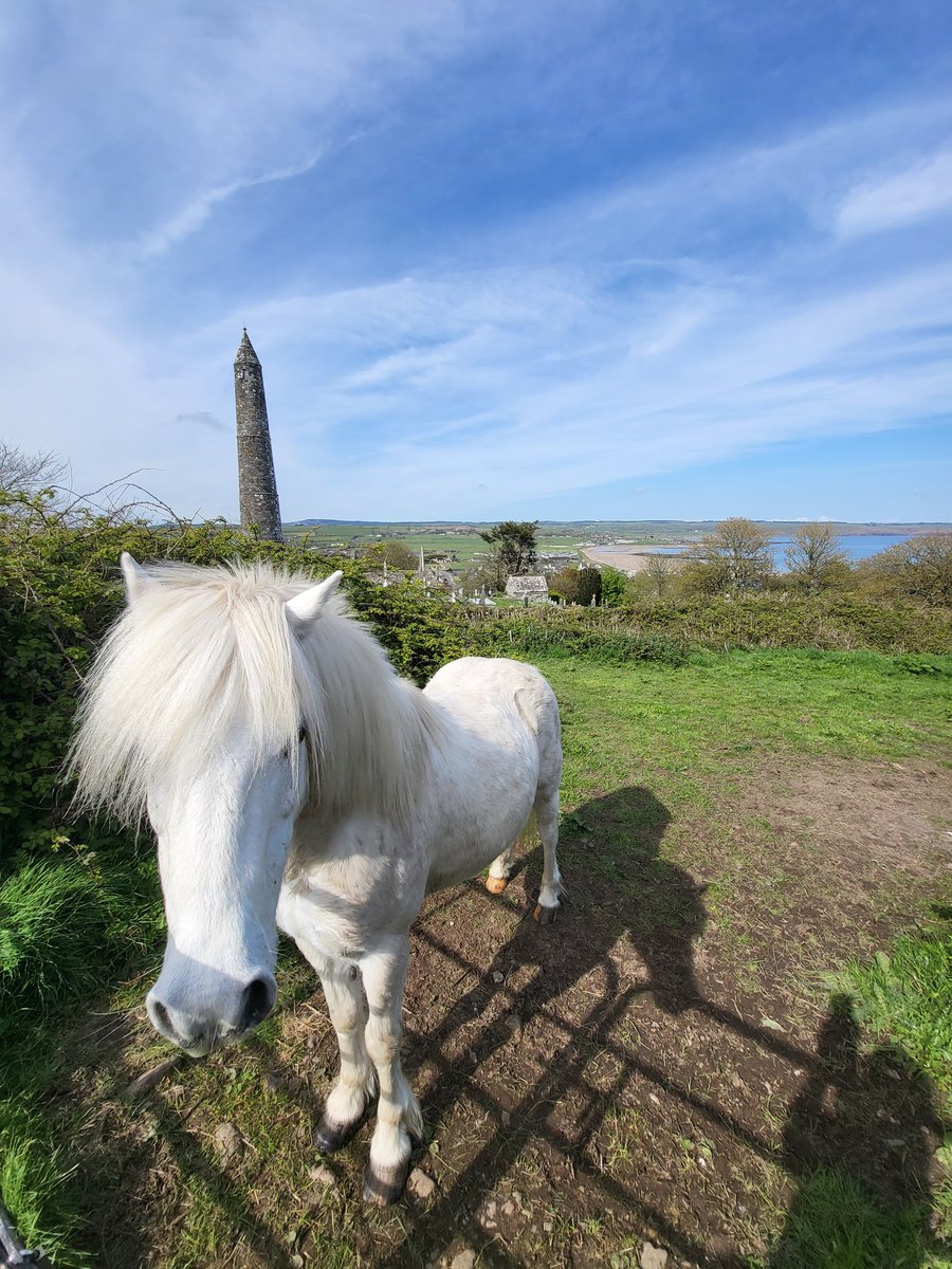 Brigid Walsh ๎จ๐ป๐๐๐ (@brigidwalsh10) on Twitter photo This 'Horse' photo taken with Ardmore Round Tower in the foreground was captioned as an 'Irish Unicorn ' by my daughter ๐
#DailyPictureTheme
<a href="/DailyPicTheme2/">Daily Picture Theme</a> This 'Horse' photo taken with Ardmore Round Tower in the foreground was captioned as an 'Irish Unicorn ' by my daughter ๐
#DailyPictureTheme
<a href="/DailyPicTheme2/">Daily Picture Theme</a>
