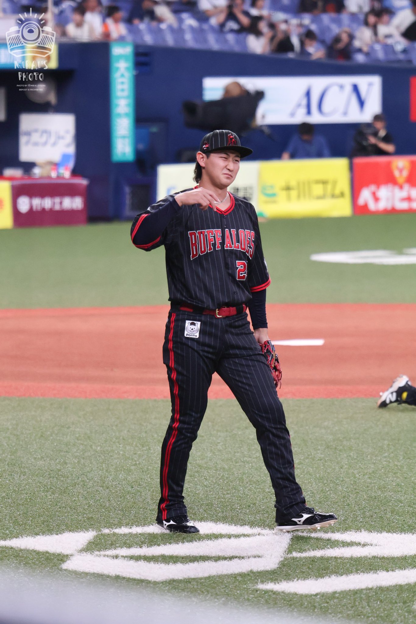 紅林弘太郎　Bs開幕シリーズ2024特別ユニフォーム　Lサイズ オリックス・バファローズ 紅林弘太郎 2024夏の陣ユニフォーム M