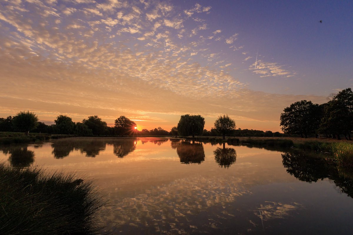 Sunday sunrise - Mackerel clouds and reflections #BushyPark 24.08.25 <a href="/theroyalparks/">The Royal Parks</a> <a href="/CloudAppSoc/">Cloud Appreciation Society</a> <a href="/TWmagazines/">TW Magazines</a> <a href="/TeddingtonNub/">Teddington Nub News</a> <a href="/TLTeddington/">TL Teddington 💙</a> <a href="/Teddington_Town/">Teddington_Town</a> <a href="/SallyWeather/">SallyWeather</a> <a href="/itvweather/">ITV Weather</a> <a href="/Visit_Richmond1/">VisitRichmond</a> <a href="/metoffice/">Met Office</a> #loveukweather <a href="/SurreyLife/">Surrey Life</a>