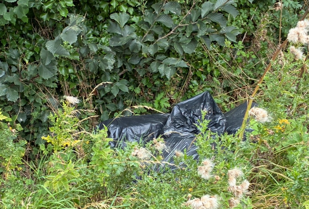 Mc Manus Tyres Drogheda (@mcmanustyres) on Twitter photo <a href="/meathcoco/">Meath County Council</a> Over 3 weeks since I reported rubbish in #Mornington #Meath (Case Ref 340978 & 342506) — still NOTHING done. Wildlife suffering, bags ripped open, filth everywhere. I have photos. <a href="/meathcoco/">Meath County Council</a> this is disgraceful. Clean it up! <a href="/meathcoco/">Meath County Council</a> Over 3 weeks since I reported rubbish in #Mornington #Meath (Case Ref 340978 & 342506) — still NOTHING done. Wildlife suffering, bags ripped open, filth everywhere. I have photos. <a href="/meathcoco/">Meath County Council</a> this is disgraceful. Clean it up!