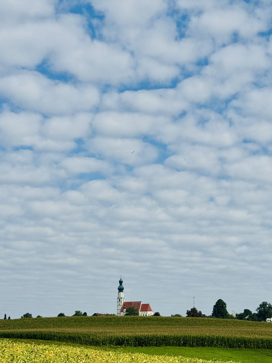 Home 💙🤍💙

<a href="/ST3PR_VET/">ST3PR</a> for $B3TR