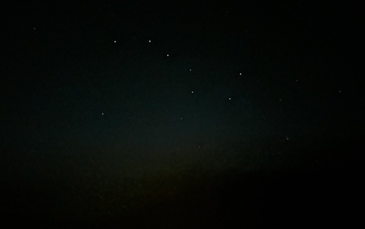 Laconicon (@categuerrical) on Twitter photo 