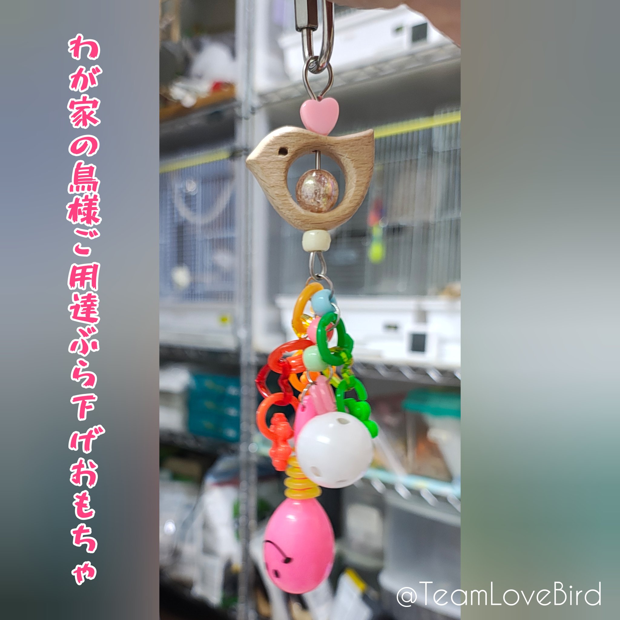 ゆき様　ご確認用♡ ゆきちゃん＠鳥様専属お世話係 on X: 