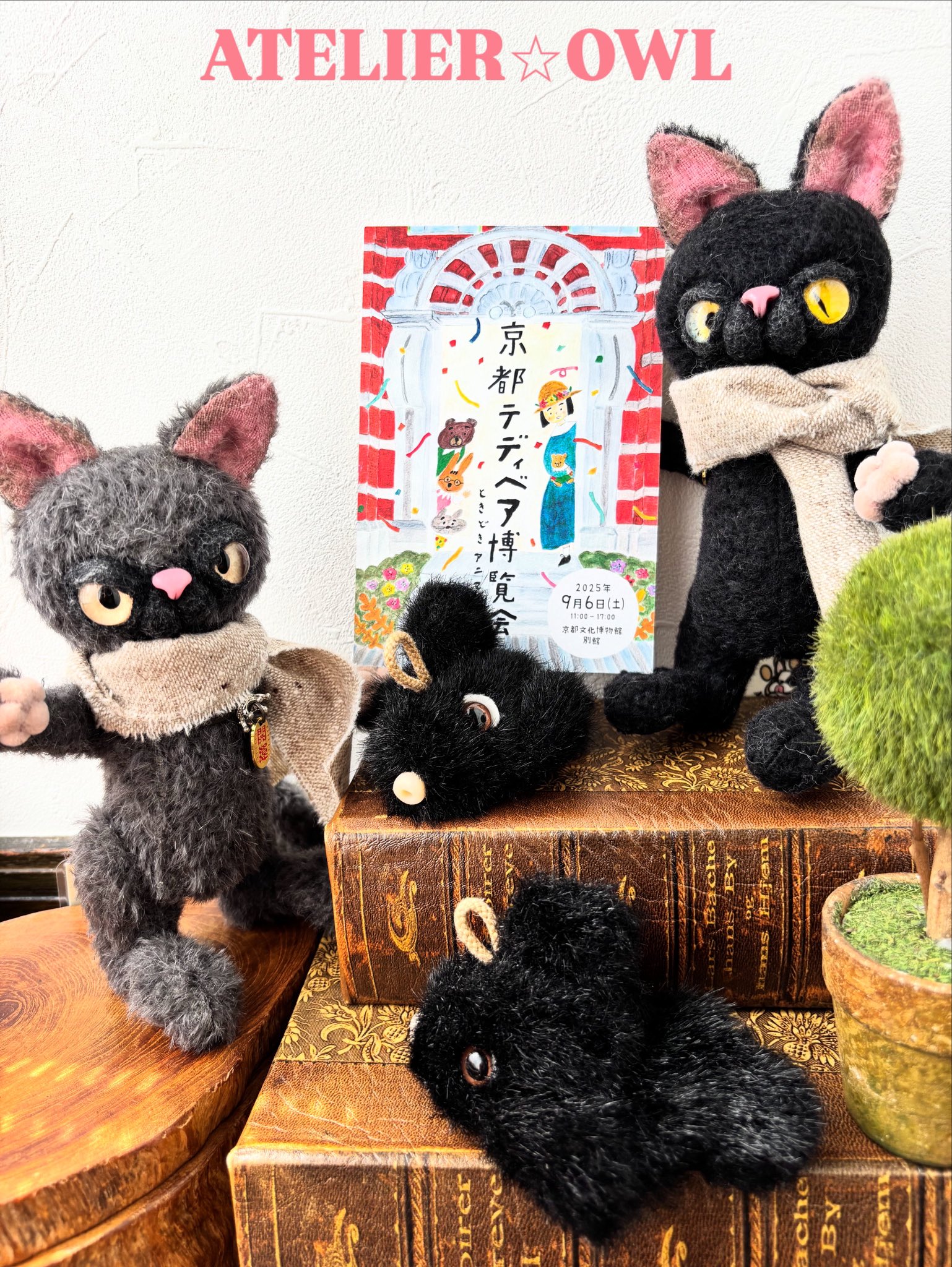 作家さんテディベア 私のオセロ」作品紹介 ・ ・ ・ Ma Maison / 高岡里香 作品名