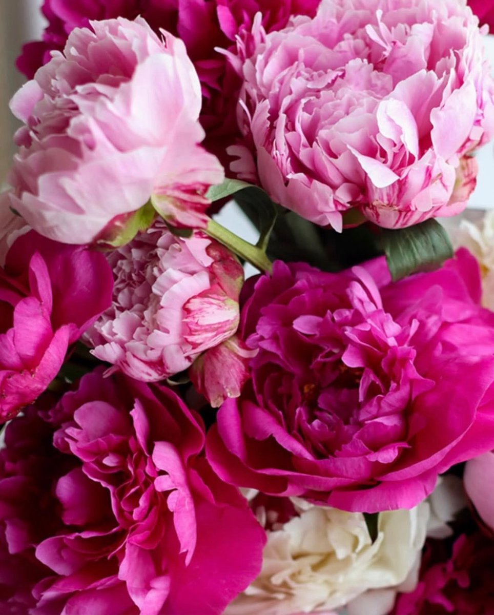 Heureux Anniversaire Homero 🎂🎁 
<a href="/HomeroFigueroaG/">Homero Figueroa</a> 🌹
💙