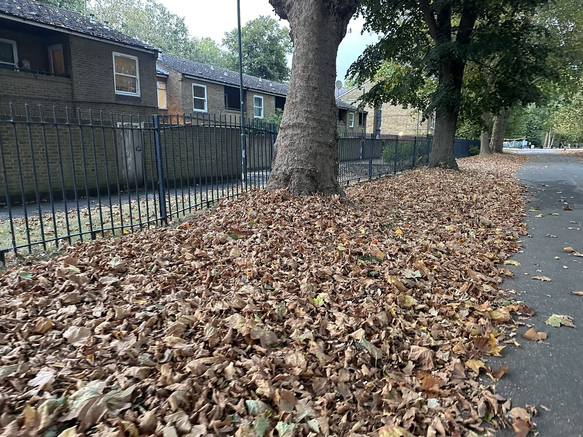 Simon Phillips tweet media