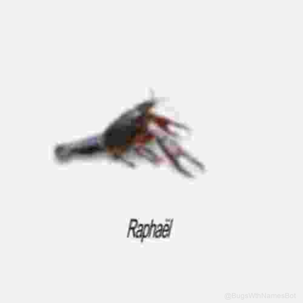 BugsWthNamesBot's tweet image. 🦞 Raphaël