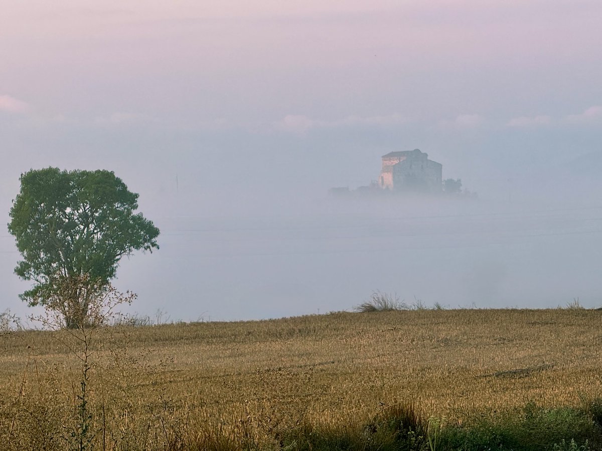 tribusdelasegarra.cat/2025/08/24/bon…
Bon dia amb boira
Santa Coloma de Queralt
Baixa Segarra
#segarrejant #goodmorning #Catalonia #magradaelmeupaís <a href="/finslagorra_1/">finslagorra ||*|| SÍ</a> <a href="/jolival65/">JOliva||*||</a> <a href="/montserumbau/">montserrat rumbau</a> @martapontnou <a href="/salvad_m/">RosamSal ||⭐|| 🏴󠁧󠁢󠁥󠁮󠁧󠁿#Jo soc CDR# *CxR*</a> <a href="/betaltarriba/">Bet Altarriba</a> <a href="/mccorominas/">Carme Corominas</a> @xatoQuico <a href="/Ifarre2/">Imma</a> <a href="/CanelaBalsebre/">rosa canela</a> <a href="/mnadal13/">Marta Nadal</a>