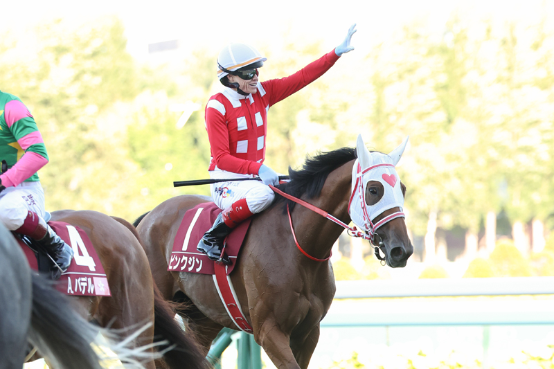 クレイグウィリアムズ サイン入り 競馬騎手帽子枠色カバー