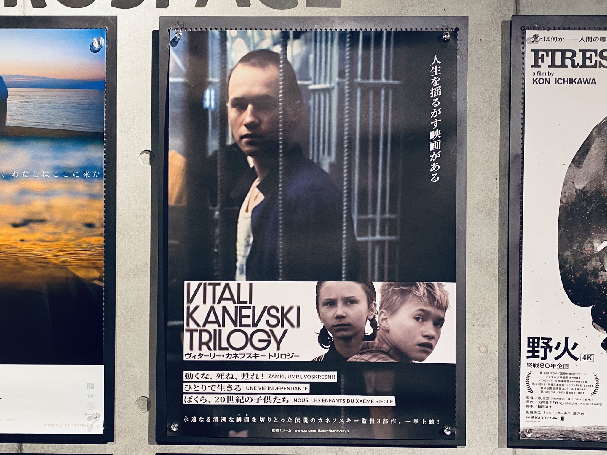 ヴィターリー・カネフスキー　　ひとりで生きる　国内正規版DVD ヴィターリー・カネフスキー ひとりで生きる 国内正規版DVD