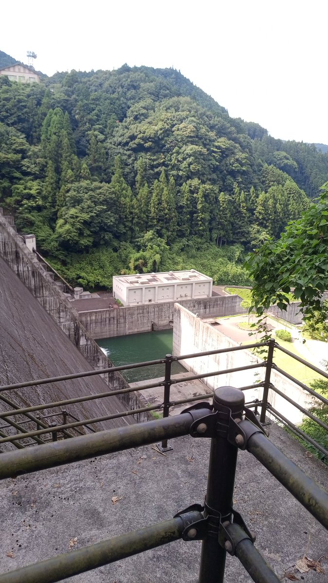 Noelさん⚡ tweet media