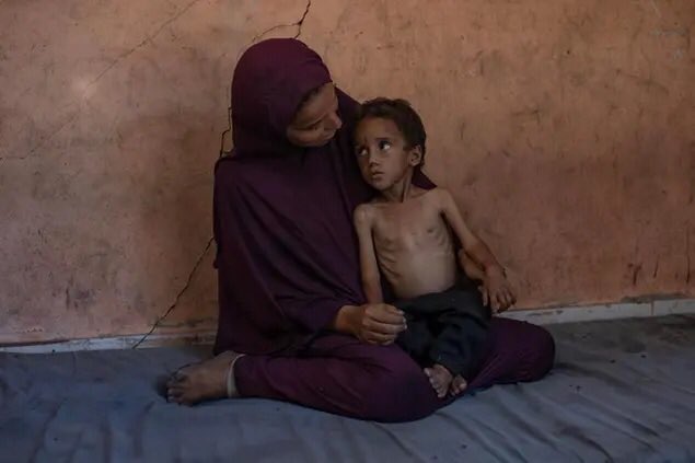 "Le carezze sui graffi di sentono di più".
(Sylvia Plath)
#GazaGenocide 🇵🇸💔