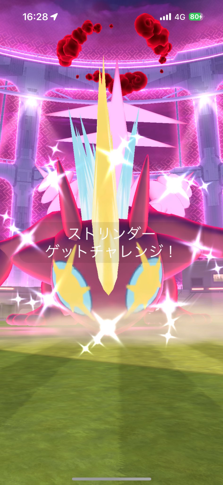 りんこ🍏 ポケモンGO on X: 