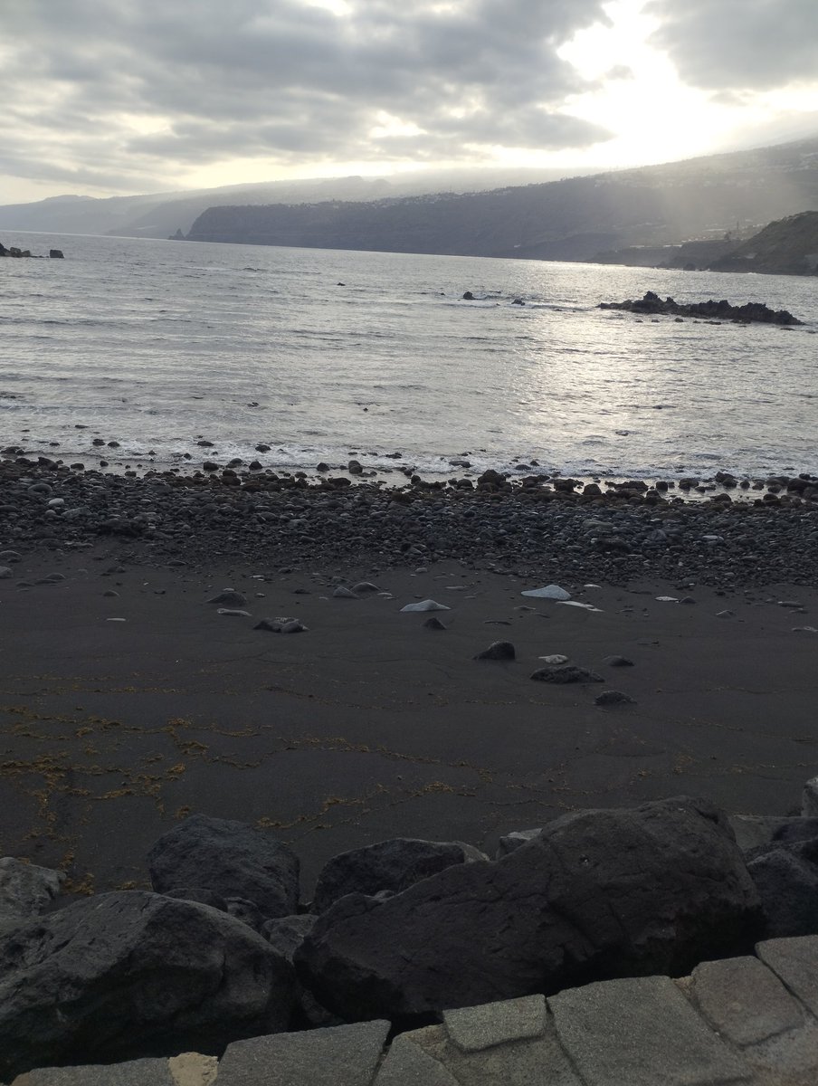 Manu (@manufootfut) on Twitter photo 