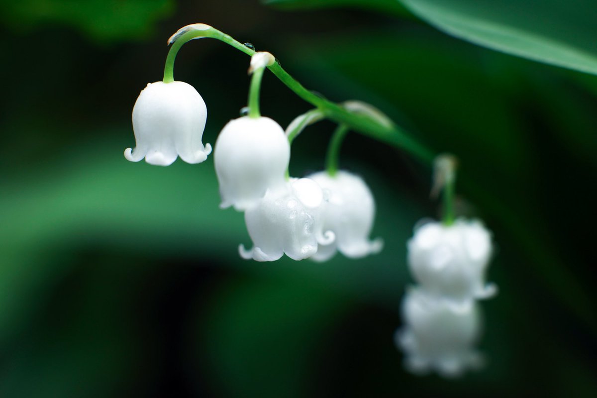 “İnsanlar size yanlış yaptıklarını bildiklerinde, sizden uzak dururlar.”

#Günaydın
 #HaftaSonu