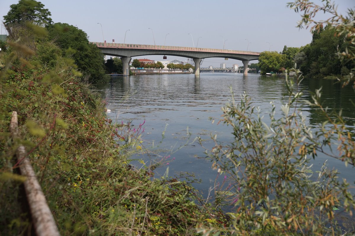 🔵 EXCLUSIF | Révélations sur le possible tueur en série derrière les cadavres dans la Seine.

Les investigations ont permis de relier le suspect à chacune des quatre victimes. La piste de crimes homophobes sériels est sérieusement envisagée

➡️ l.leparisien.fr/N6PH