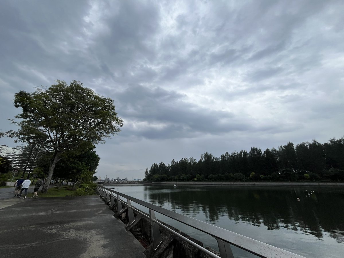 ang_kwan's tweet photo. 25 August 2025 - Punggol Park Connector, Coney Island #coneyisland #singapore #Punggol https://t.co/CuBcTRkx6w
