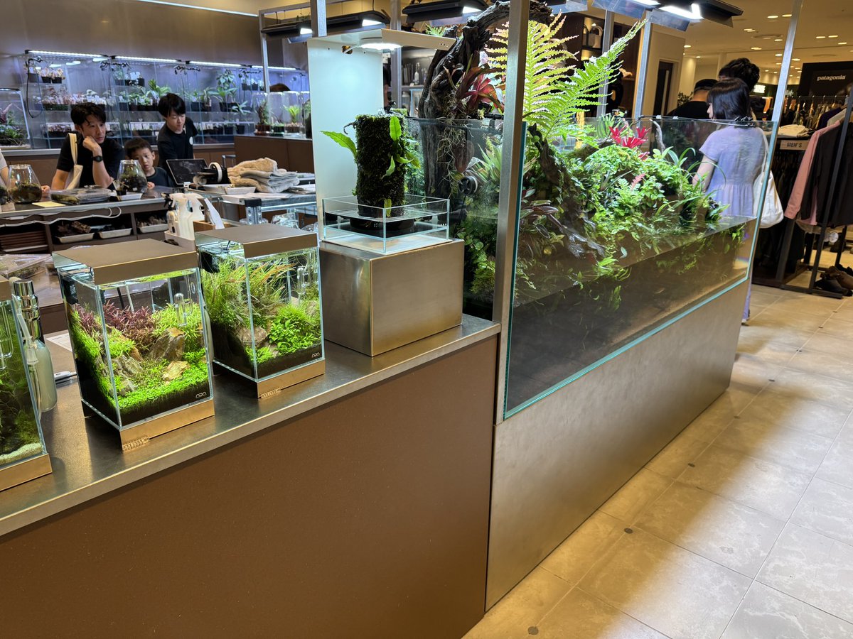 梅田のADA屋さん小さすぎるw