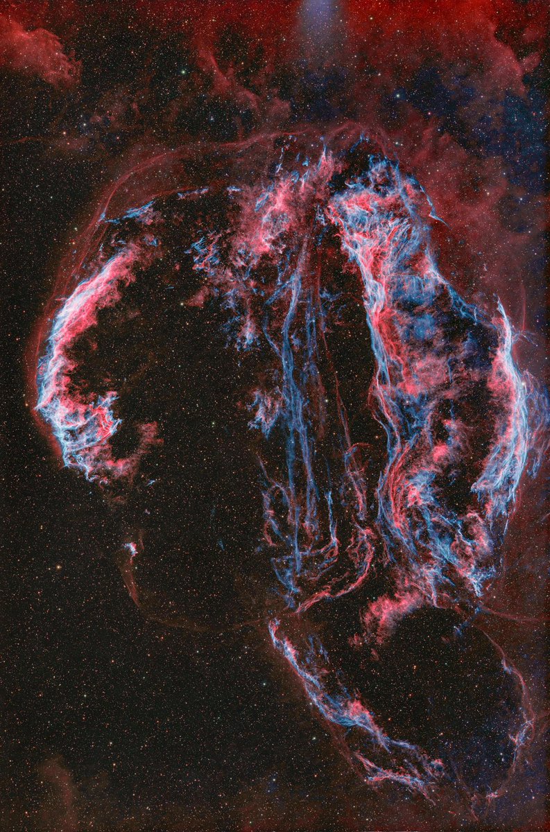 真夏のテキサスで細々と撮り貯めた網状星雲になります。

月も大きな時期だったのでO3の出がいまいちかと思いますね…そもそも写り自体がいまいちか。。

画像上に迷光が入ってますが、
望遠鏡後端の接続がM48とイメージサークルよりも狭いのが原因と思います。

M54のリングを嫁に持たせるか。。